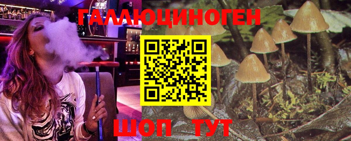 Псилоцибиновые грибы Psilocybe  Псилоцибиновые грибы Psilocybe  Вход с VPN  Холмск 