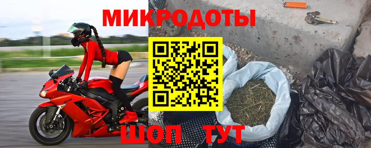 Псилоцибиновые грибы мицелий Холмск